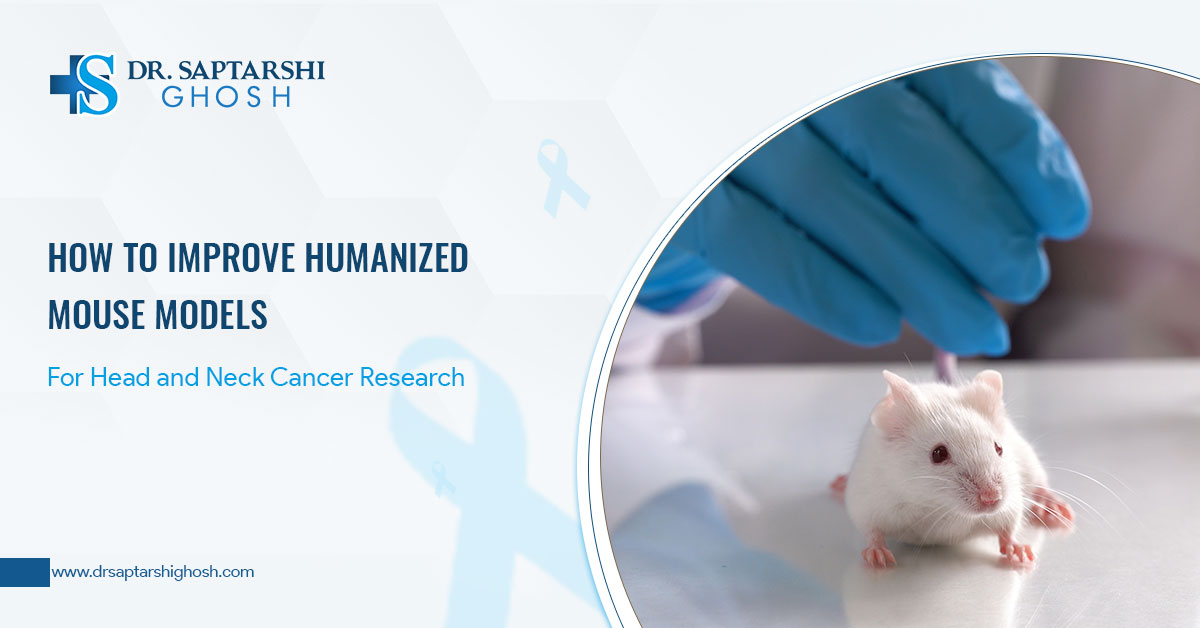 How To Improve Humanized Mouse Models For Head and Neck Cancer Research
